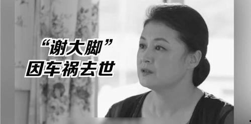 娱乐圈吃瓜明星代号厨子,娱乐圈神秘代号背后的明星传奇